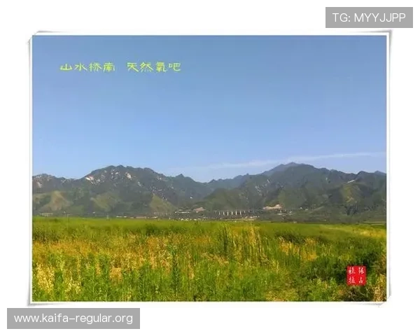 K8捕鱼国际高端技巧分享，助你在激烈的海底捕鱼中稳占优势