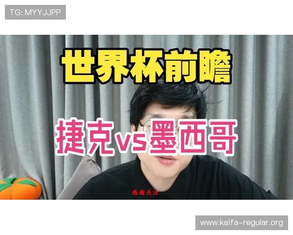 捷克与墨西哥世界杯比赛场馆容量介绍及观众体验提升措施详解